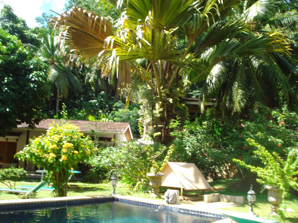 Cote Sud - Unique Villa & Bungalows Intendance Road Takamaka Bilik gambar