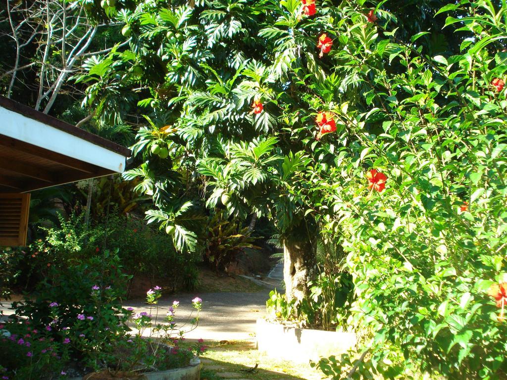 Cote Sud - Unique Villa & Bungalows Intendance Road Takamaka Bilik gambar