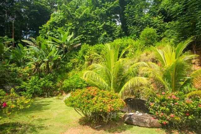 Cote Sud - Unique Villa & Bungalows Intendance Road Takamaka Luaran gambar